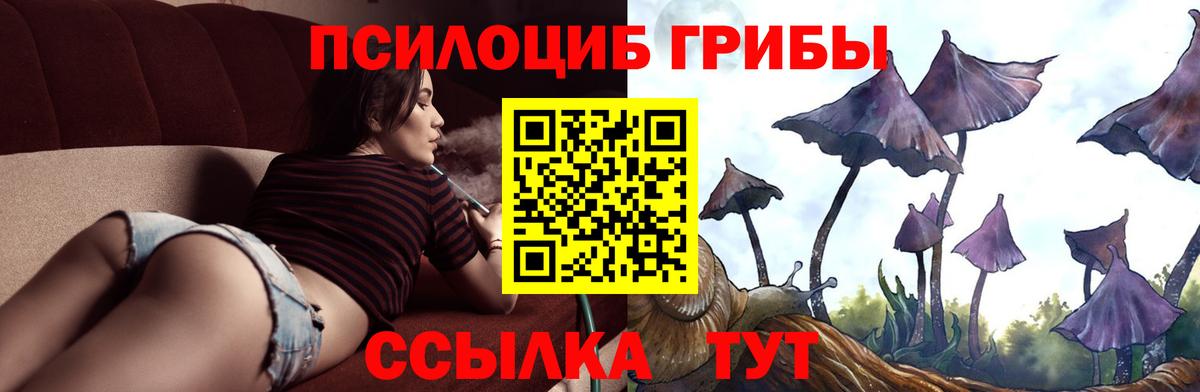 купить наркотики цена  Вход с VPN  Нижнеудинск  Псилоцибиновые грибы Magic Shrooms  Галлюциногенные грибы GOLDEN TEACHER 